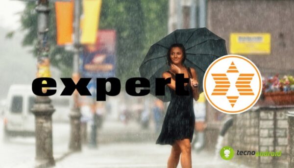 expert
