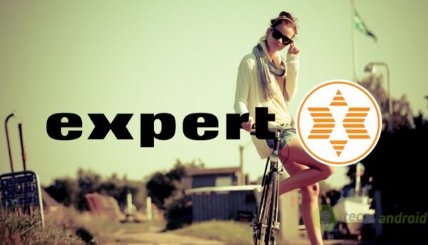 expert
