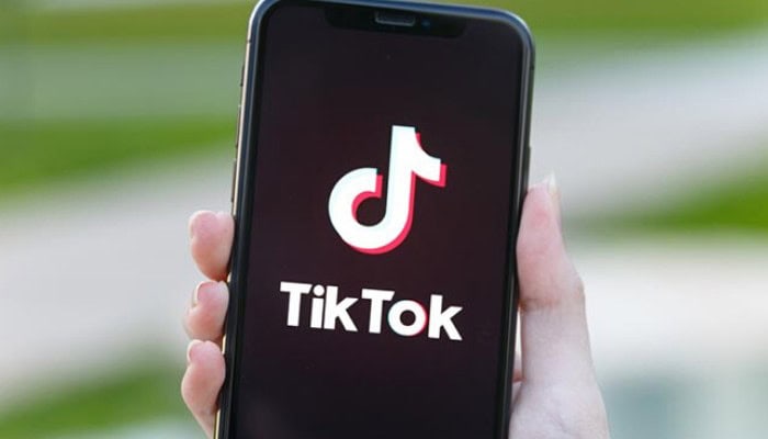 Tik Tok come Instagram, link in biografia e URL nei video