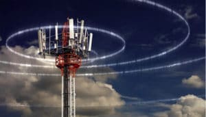 api morte ripetitori 5G radiazioni