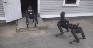 cani robot polizia usa