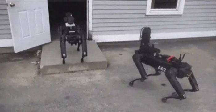 cani robot polizia usa