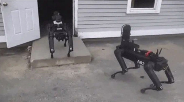 cani robot polizia usa