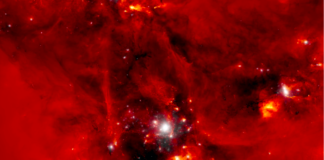 galassia simulazione Illustris TNG 50