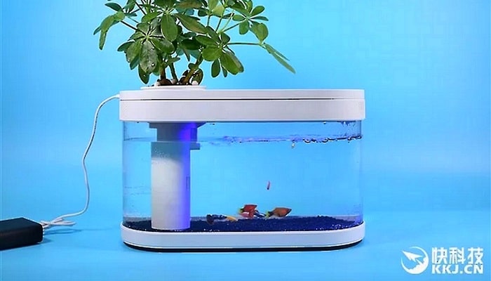 xiaomi-acquario-fish-tank
