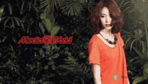 mediaworld