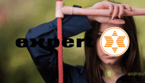 expert