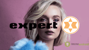 expert