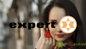 expert