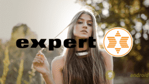 expert