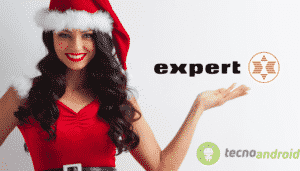 Expert