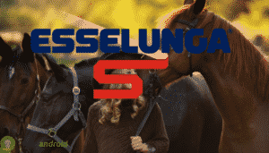 esselunga