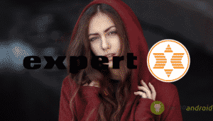 Expert