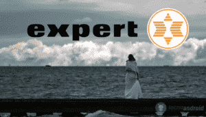 expert