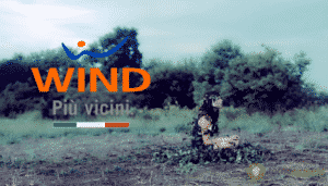 wind