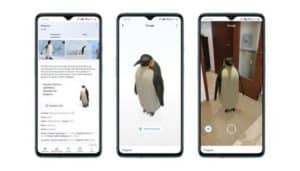 google-animali