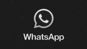 whatsapp-android-funzione-novità