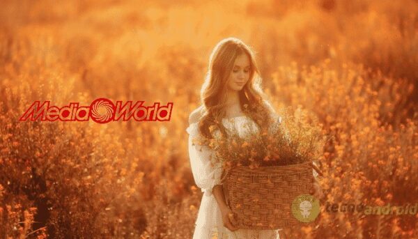 mediaworld