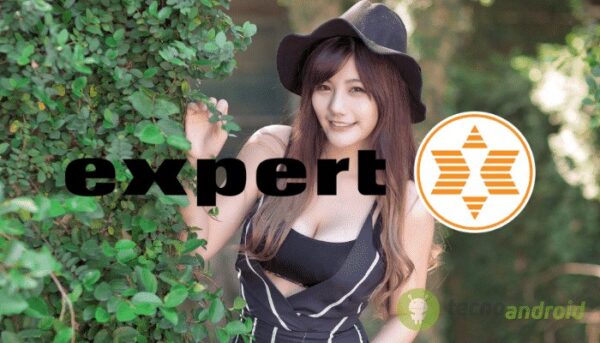 Expert