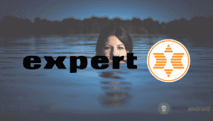 expert
