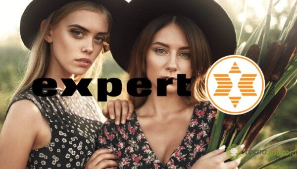 expert