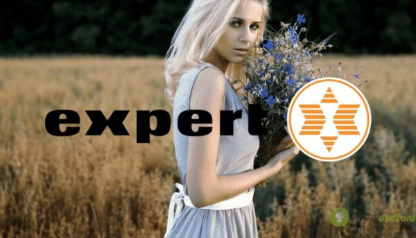expert