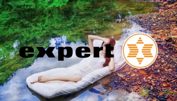 expert