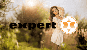 expert
