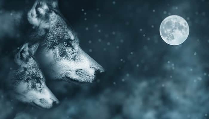 luna piena del lupo