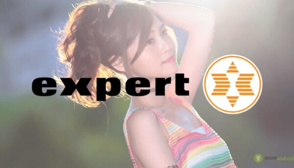 expert