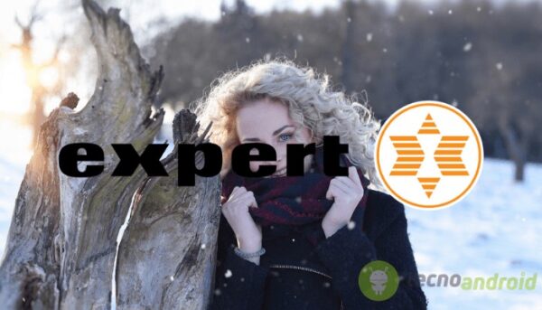 expert