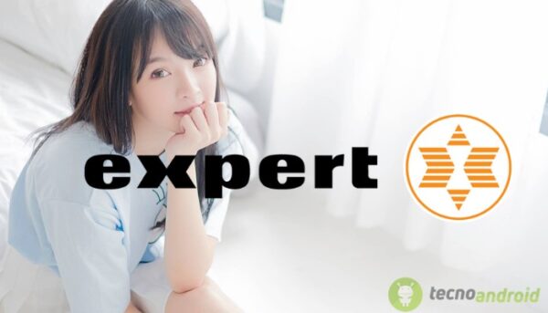 expert
