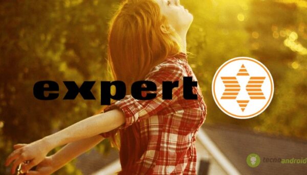 expert