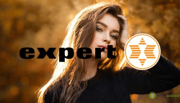 expert