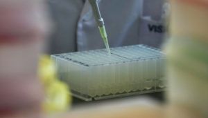 intelligenza artificiale super antibiotico MIT