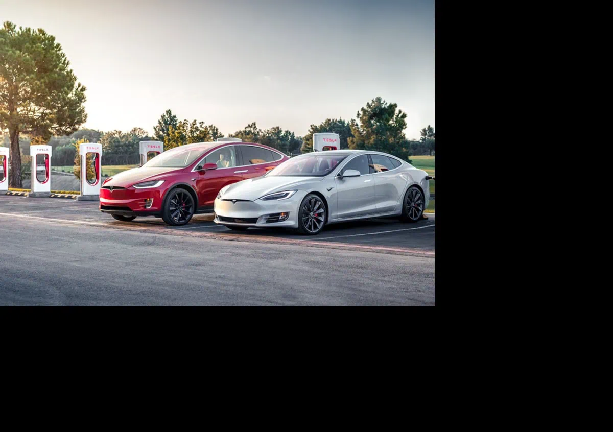 Tesla: le ultime novità e sorprese sulla gamma di auto elettriche