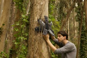 vecchi smartphone rainforest connection giungla
