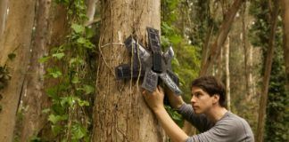 vecchi smartphone rainforest connection giungla