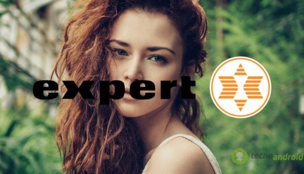 expert