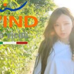 wind