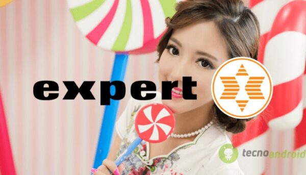 expert