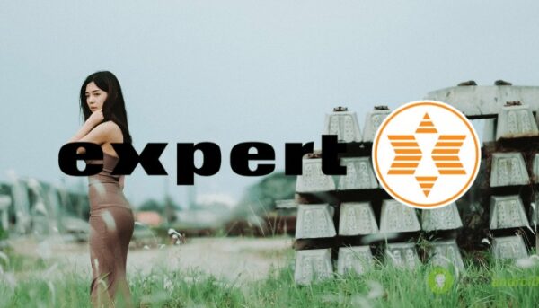 expert