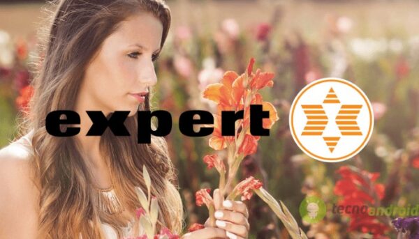 expert