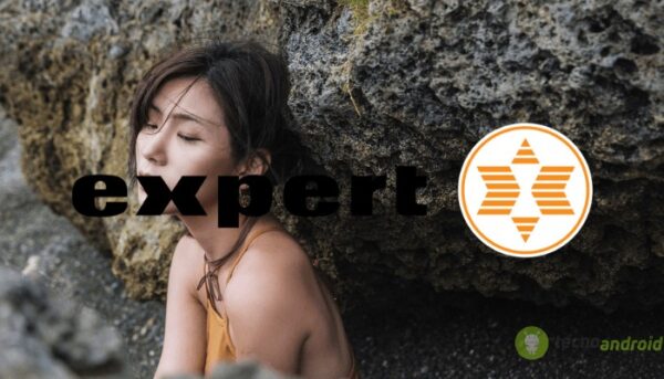 expert