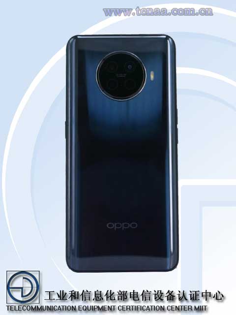 Reno-Ace-2-Back