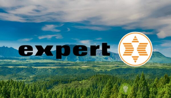 expert
