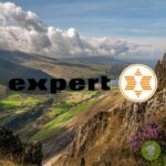 expert