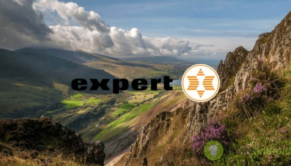 expert