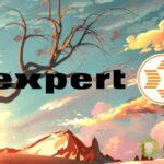expert