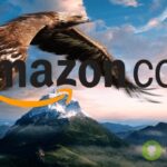 amazon